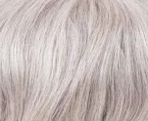 #1B80 Human Grey
